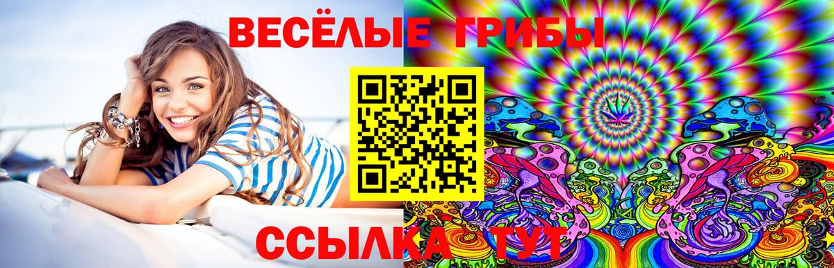 Псков  Псилоцибиновые грибы мицелий  что такое   Вход с VPN 